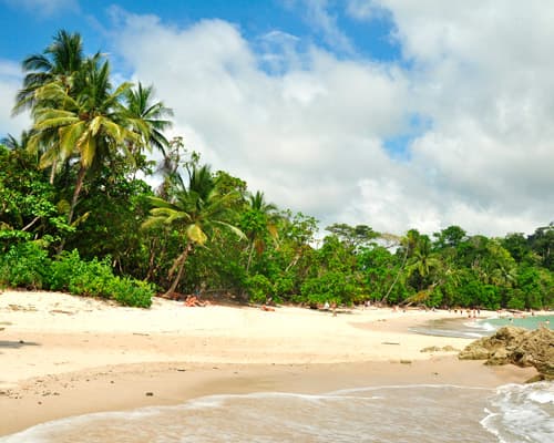 Image - Manuel Antonio